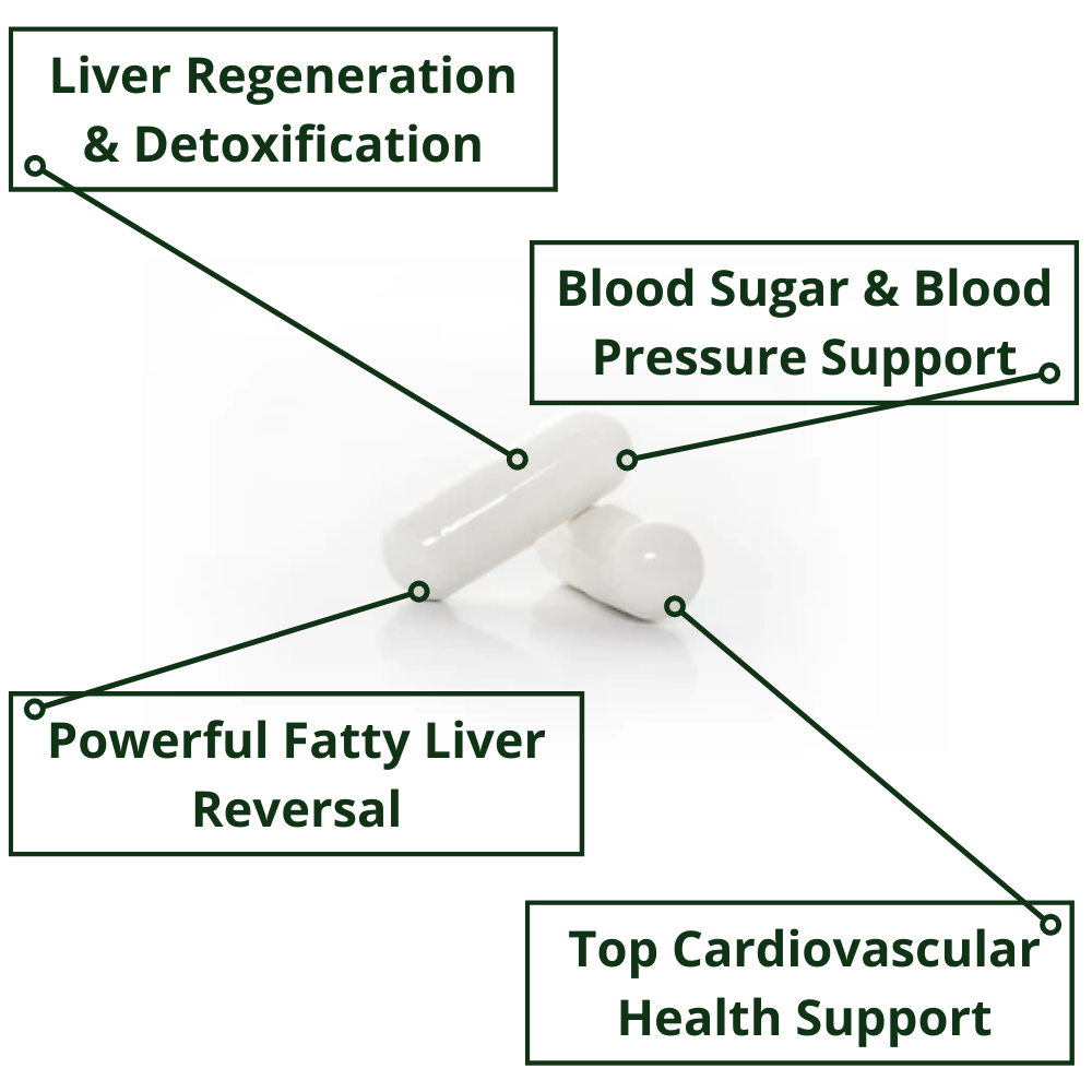 fatty liver suppport supplement benefits