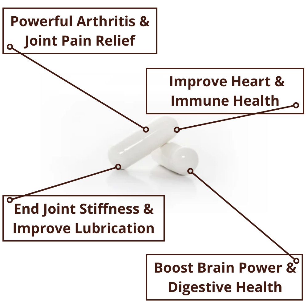 turmeric curcumin pills